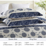 Paisley Striped Floral Quilt Set - 100% Cotton Lightweight 3-Piece Bedding for All Seasons